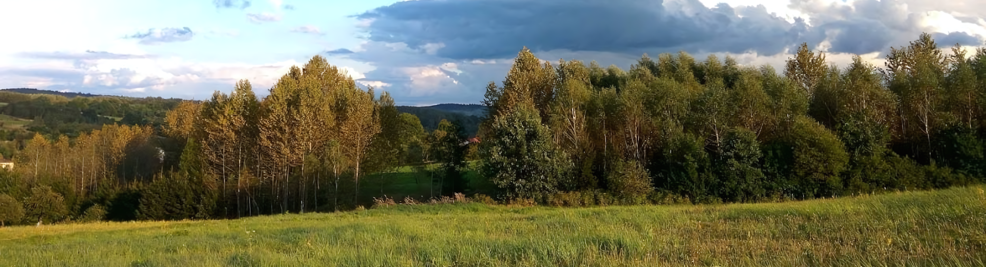 Zobacz Więcej