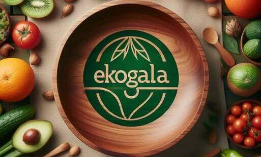 Grafika przedstawia drewnianą miskę z zielonym logo „ekogala” pośrodku, otoczoną różnorodnymi owocami, warzywami, orzechami i drewnianymi przyborami kuchennymi.